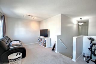 Photo 35: 32 Evansbrooke Rise NW in Calgary: Evanston Detached for sale : MLS®# A1244554