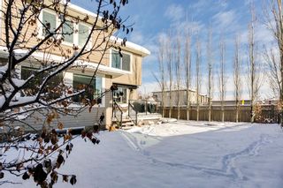 Photo 38: 45 Cranberry Lane SE in Calgary: Cranston Detached for sale : MLS®# A2020738