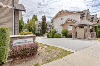 Photo 36: 6 11720 COTTONWOOD Drive in Maple Ridge: Cottonwood MR Townhouse for sale in "Cottonwood Green" : MLS®# R2837645