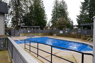 Photo 27: 84 20875 80TH Avenue in Langley: Willoughby Heights Townhouse for sale in "PEPPERWOOD" : MLS®# F1203721