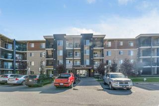 Photo 1: 204 7210 80 Avenue NE in Calgary: Saddle Ridge Apartment for sale : MLS®# A2096267
