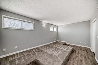 Photo 18: 111 Pinemill Mews NE in Calgary: Pineridge Detached for sale : MLS®# A2115447