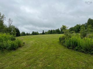 Photo 5: 883 Three Brooks Road in Central Caribou: 108-Rural Pictou County Vacant Land for sale (Northern Region)  : MLS®# 202218754