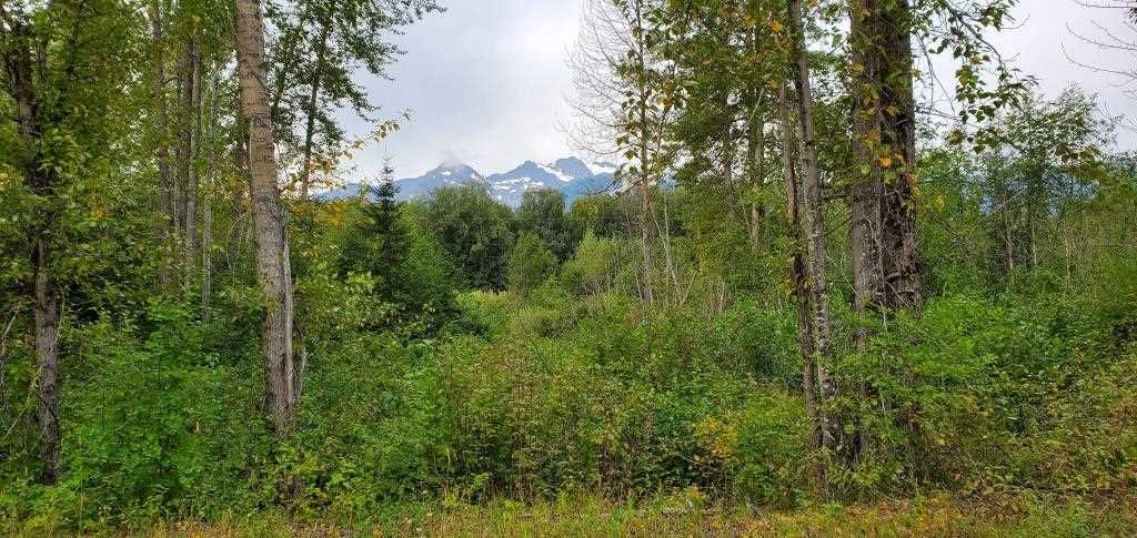 Main Photo: LOT A 37 Highway: Kitwanga Land for sale (Smithers And Area (Zone 54))  : MLS®# R2506362