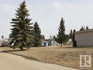 Photo 3: 5515 48 Street: Tofield Vacant Lot for sale : MLS®# E4273517