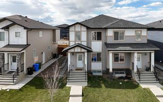 Photo 1: 3672 Cornerstone Boulevard in Calgary: Cornerstone Semi Detached (Half Duplex) for sale : MLS®# A2125797