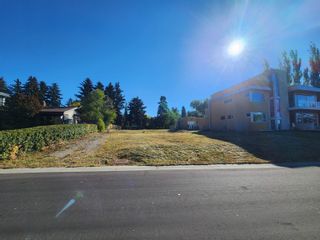 Photo 5: 9019 SASKATCHEWAN Drive in Edmonton: Zone 15 Vacant Lot/Land for sale : MLS®# E4335461