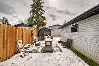 Photo 49: 3431 32A Avenue SE in Calgary: Dover Detached for sale : MLS®# A2126947