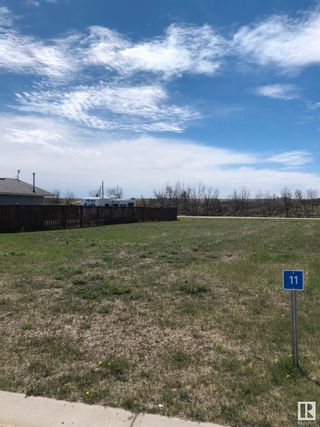 Photo 1: 11 Marina Crescent: Rural Stettler County Rural Land/Vacant Lot for sale : MLS®# E4293332
