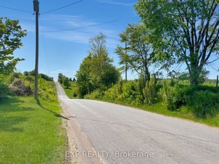 Photo 40: 1655 Sharpe Line in Cavan Monaghan: Rural Cavan Monaghan House (Bungalow) for sale : MLS®# X6048508