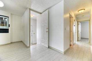 Photo 11: 79 Abalone Way NE in Calgary: Abbeydale Detached for sale : MLS®# A2032204