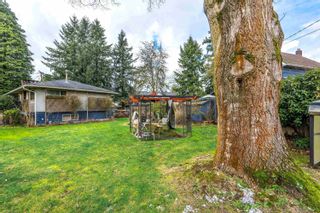 Photo 26: 23243 88 Avenue in Langley: Fort Langley House for sale : MLS®# R2860058