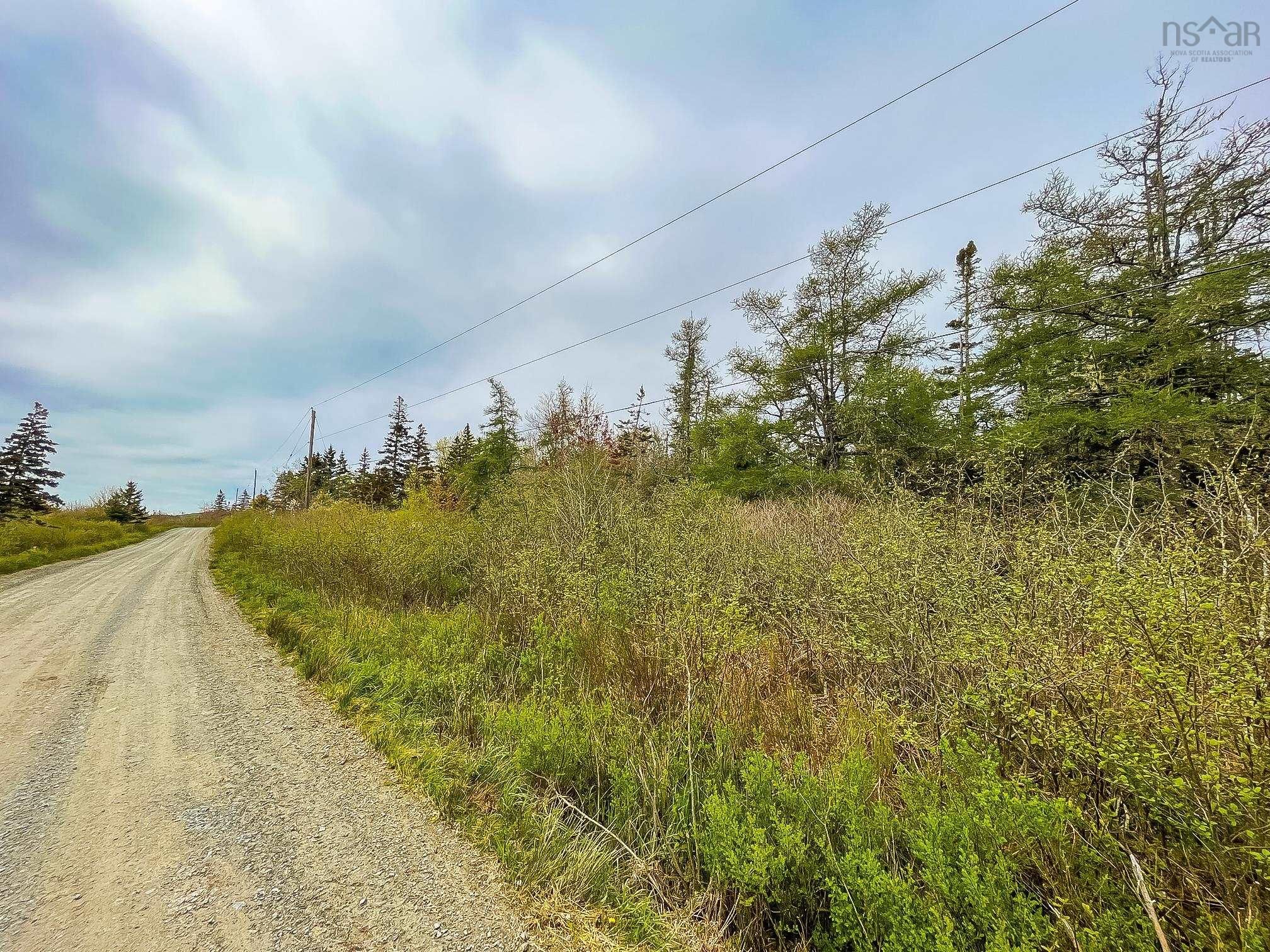 Main Photo: Lot 101 Long Cove Road in Port Medway: 406-Queens County Vacant Land for sale (South Shore)  : MLS®# 202304042