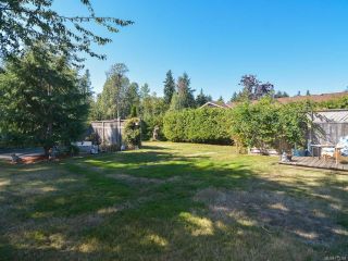 Photo 40: 3797 MEREDITH DRIVE in ROYSTON: CV Courtenay South House for sale (Comox Valley)  : MLS®# 771388