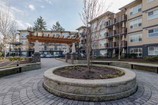 Photo 1: 213 2565 CAMPBELL Avenue in Abbotsford: Central Abbotsford Condo for sale in "Abacus" : MLS®# R2242051