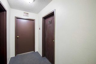 Photo 6: 301 1821 17A Street SW in Calgary: Bankview Apartment for sale : MLS®# A2139414