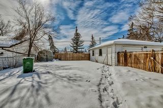 Photo 41: 531 Thornhill Drive NW in Calgary: Thorncliffe Detached for sale : MLS®# A2031837