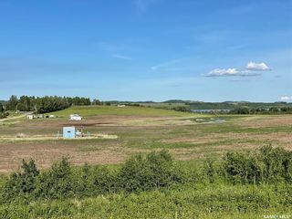 Photo 4: Days Acres in Meota: Lot/Land for sale (Meota Rm No.468)  : MLS®# SK901633