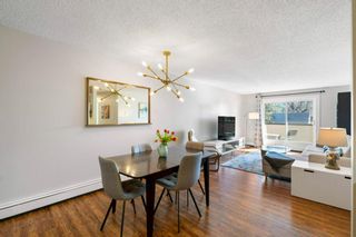 Photo 7: 202 1917 24A Street SW in Calgary: Richmond Apartment for sale