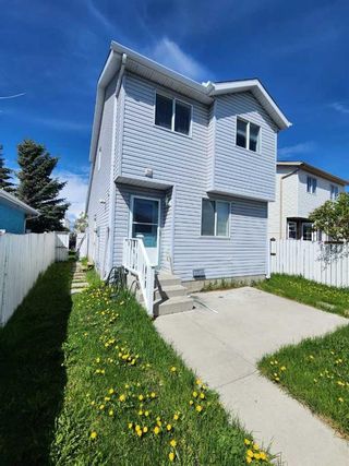 Photo 43: 3819 Catalina Boulevard NE in Calgary: Monterey Park Detached for sale : MLS®# A2112666