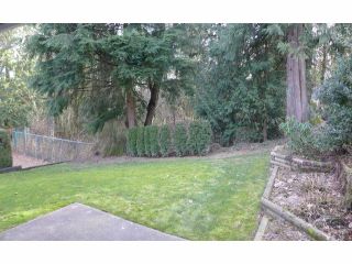 Photo 13: 13 33020 MACLURE Road in Abbotsford: Central Abbotsford Townhouse for sale in "WILLBAND CREEK ESTATES" : MLS®# F1404024