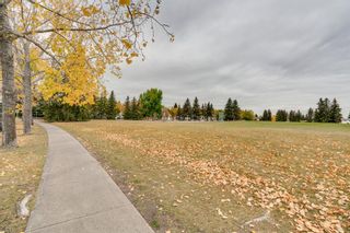 Photo 27: 151 Millrise Drive SW in Calgary: Millrise Detached for sale : MLS®# A1037985