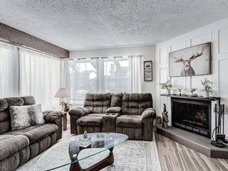 Photo 9: 127 TEMPLEBY Place NE in Calgary: Temple Detached for sale : MLS®# A1210227
