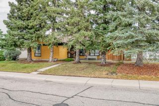 Photo 47: 12432 Cannes Road SW in Calgary: Canyon Meadows Detached for sale : MLS®# A1251739