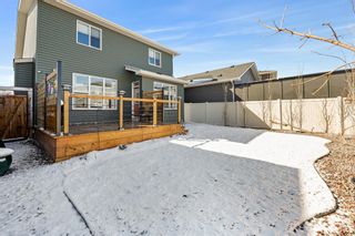 Photo 42: 535 Bayview Way SW: Airdrie Detached for sale : MLS®# A1201016