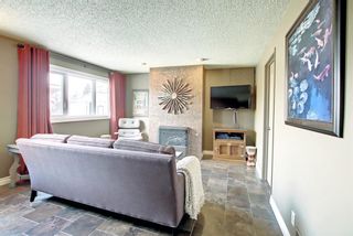 Photo 24: 11 Beaconsfield Place NW in Calgary: Beddington Heights Detached for sale : MLS®# A1191581