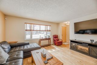 Photo 10: 868 Abbotsford Drive NE in Calgary: Abbeydale Detached for sale : MLS®# A1208829