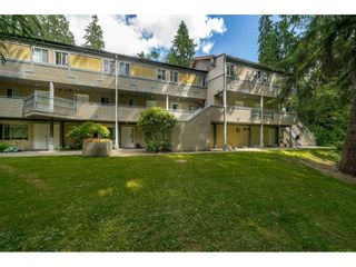 Photo 17: 34 2978 WALTON AVENUE in Coquitlam: Canyon Springs Townhouse for sale : MLS®# R2381673