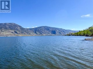 Photo 67: 17217 87TH Street in Osoyoos: House for sale : MLS®# 10308239