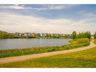 Photo 49: 464 Taracove Estate Drive NE in Calgary: Taradale Detached for sale : MLS®# A1171231