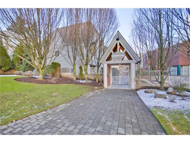 Main Photo: 207 7168 OAK Street in Vancouver: South Cambie Condo for sale (Vancouver West)  : MLS®# V926190