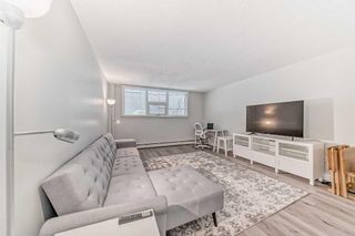 Photo 5: 103 1027 Cameron Avenue SW in Calgary: Lower Mount Royal Apartment for sale : MLS®# A2113620