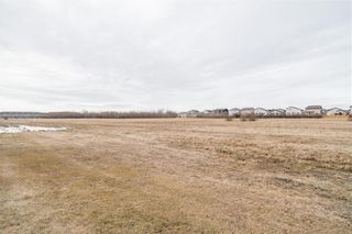 Photo 43: 934 Plessis Road in Winnipeg: South Transcona Residential for sale (3N)  : MLS®# 202407338