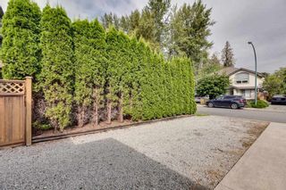 Photo 18: 23890 118A Avenue in Maple Ridge: Cottonwood MR House for sale : MLS®# R2303830