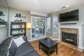 Photo 5: 302 1610 E.5th Ave in Vancouver: Grandview VE Condo for sale (Vancouver East)  : MLS®# R2137159