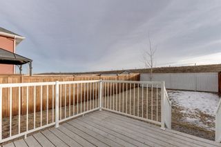 Photo 3: 458 River Heights Crescent: Cochrane Semi Detached for sale : MLS®# A1176733