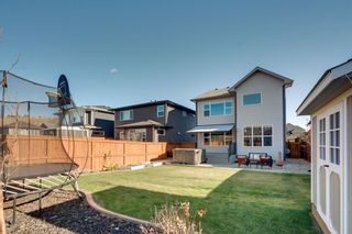 Photo 44: 248 Cranbrook Circle SE in Calgary: Cranston Detached for sale : MLS®# A1155591