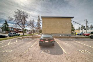 Photo 5: 202 2211 19 Street NE in Calgary: Vista Heights Row/Townhouse for sale : MLS®# A2124015