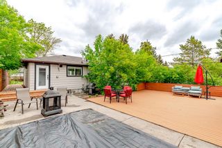 Photo 43: 6511 34 Avenue NW in Calgary: Bowness Detached for sale : MLS®# A1231187