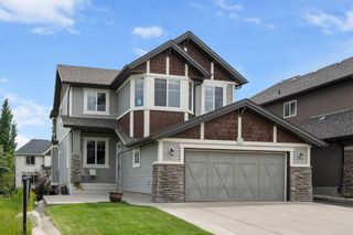 Photo 30: 51 Tremblant Point SW in Calgary: Springbank Hill Detached for sale : MLS®# A1230453