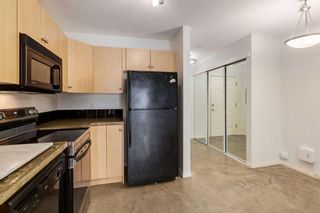 Photo 9: 322 1811 34 Avenue in Calgary: Altadore Apartment for sale : MLS®# A2119422