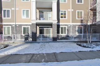 Photo 17: 1106 522 Cranford Drive SE in Calgary: Cranston Apartment for sale : MLS®# A2014371