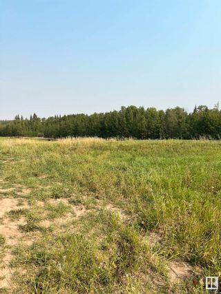 Photo 4: Township 565A & Range Road 20: Rural Lac Ste. Anne County Rural Land/Vacant Lot for sale : MLS®# E4311967