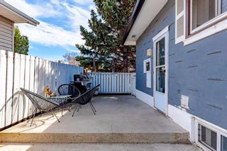 Photo 33: 4008 Doverview Drive SE in Calgary: Dover Detached for sale : MLS®# A2124333
