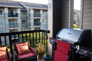 Photo 17: 304 5655 210A STREET in Langley: Salmon River Condo for sale : MLS®# R2204485