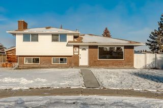 Photo 1: 216 Pinetree Place NE in Calgary: Pineridge Detached for sale : MLS®# A2013958